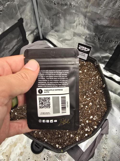 Pineapple Express Auto. Week 0 - Pineapple Express 