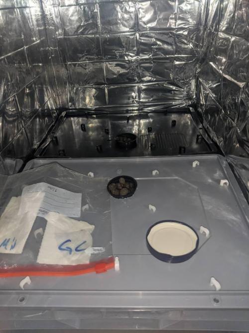 GC Auto and Milky Way Kratky. Week 0