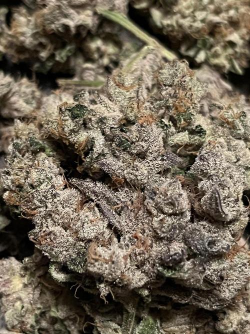 Do si DOS + coffee creamer x 50 dragons. Week 10