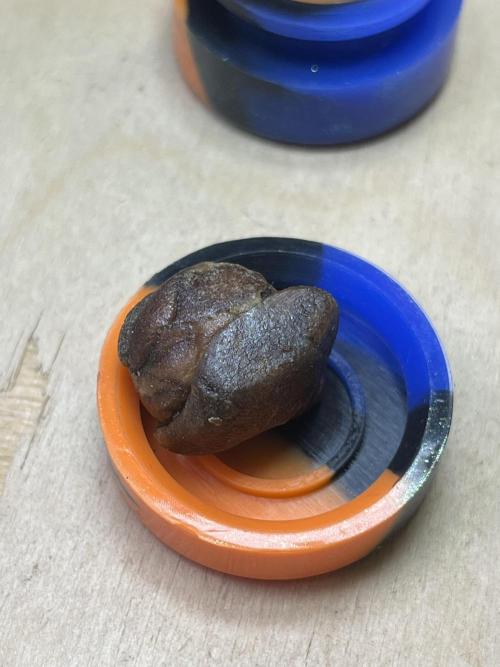 KIWI Sample. Week 15