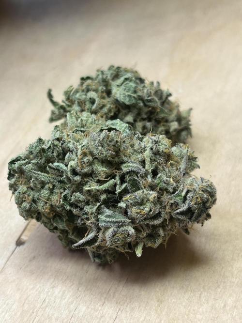 KIWI Sample. Week 15