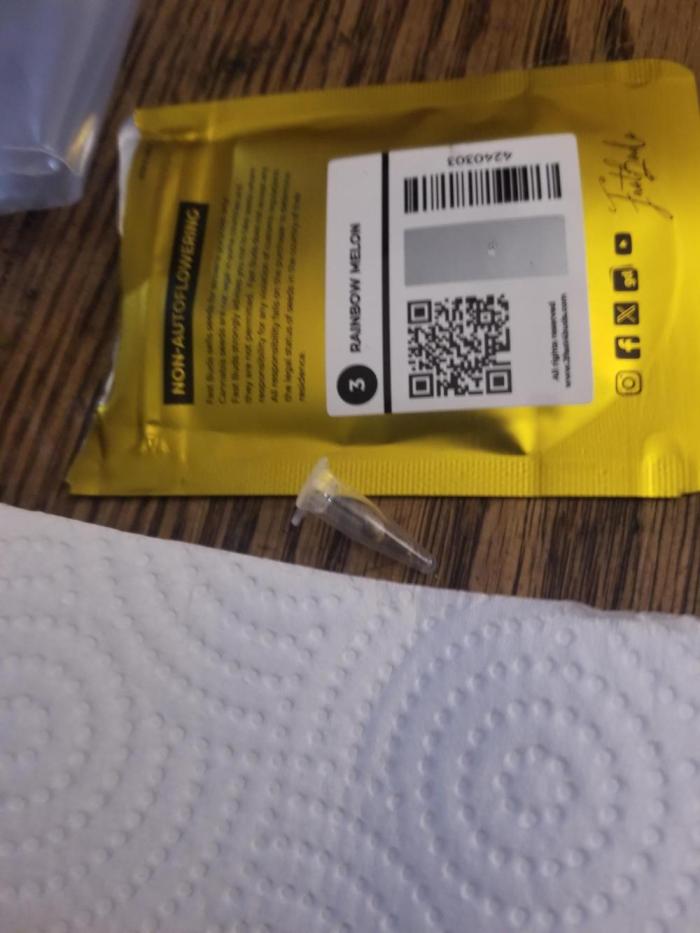 Rainbow melon. Week 0 - Back by popular demand! 