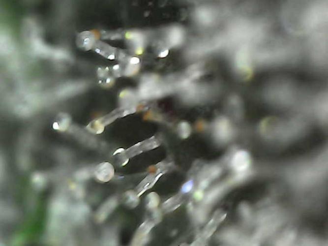 The Experiment. Week 14