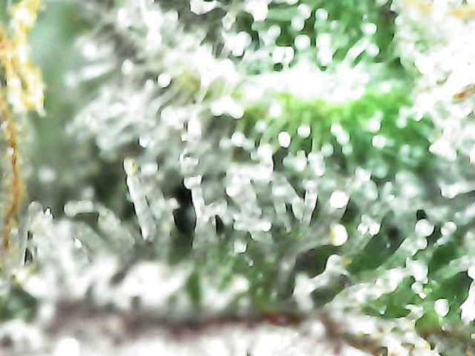 The Experiment. Week 14