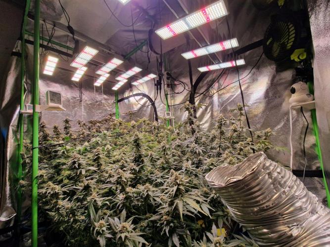 The Experiment. Week 14