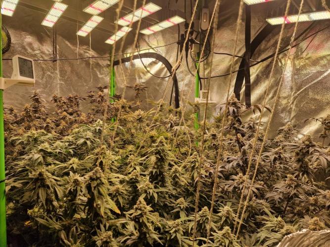 The Experiment. Week 16