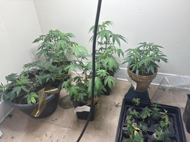 10th planet run by ethos. Week 8