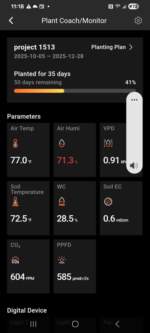 Banana bread auto & all gas og auto. Week 5