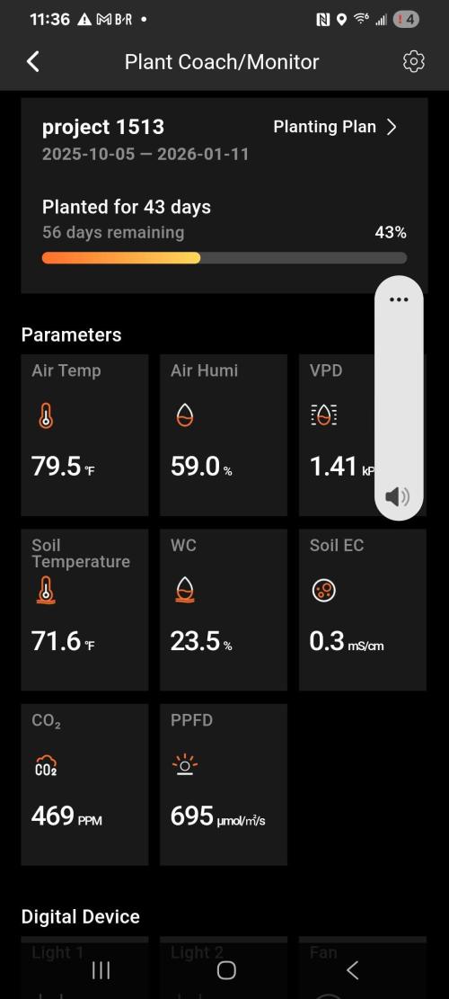 Banana bread auto & all gas og auto. Week 6