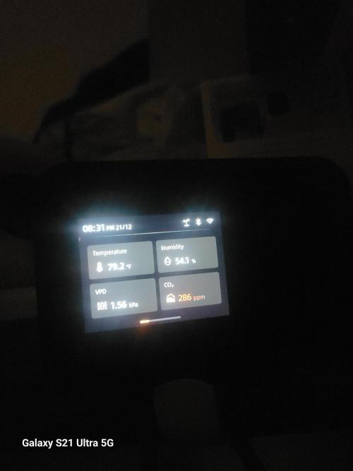 Banana bread auto & all gas og auto. Week 11