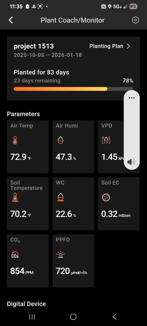Banana bread auto & all gas og auto. Week 12