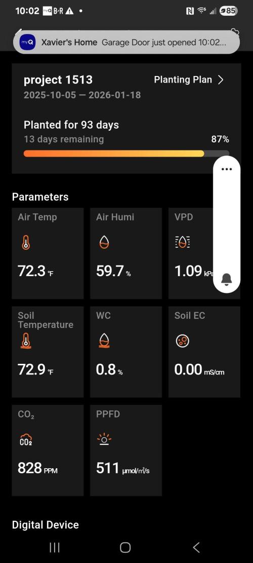 Banana bread auto & all gas og auto. Week 13