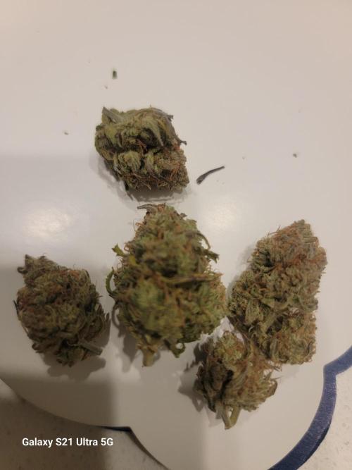 Banana bread auto & all gas og auto. Week 14