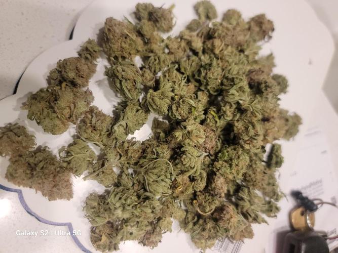 Banana bread auto & all gas og auto. Week 14