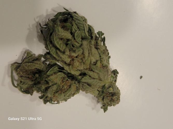 Banana bread auto & all gas og auto. Week 14