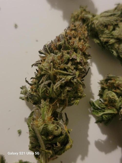 Banana bread auto & all gas og auto. Week 14