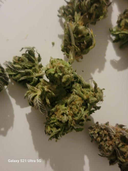 Banana bread auto & all gas og auto. Week 14