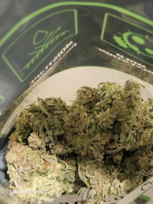 Banana bread auto & all gas og auto. Week 14