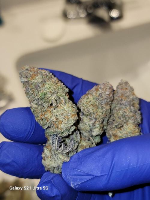 BlueberryCupcake,Donuts,GarlicBudder. Week 18