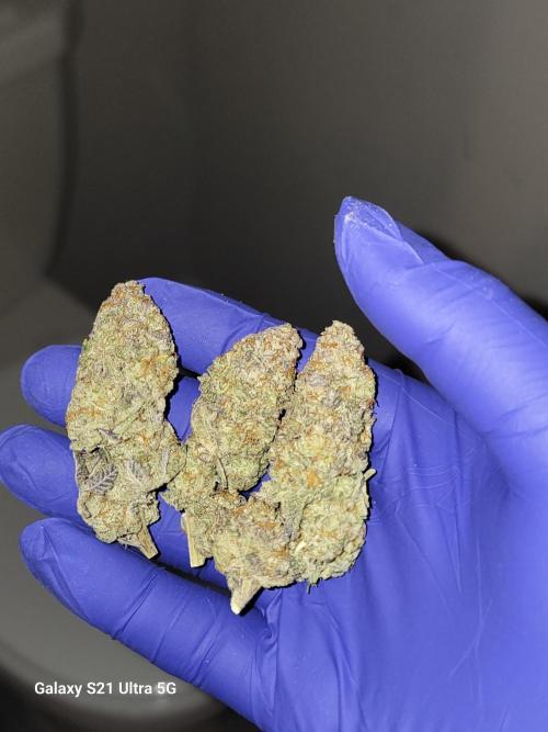 BlueberryCupcake,Donuts,GarlicBudder. Week 18
