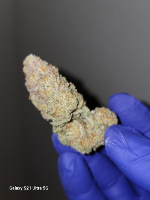 BlueberryCupcake,Donuts,GarlicBudder. Week 18