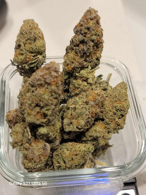 BlueberryCupcake,Donuts,GarlicBudder. Week 18