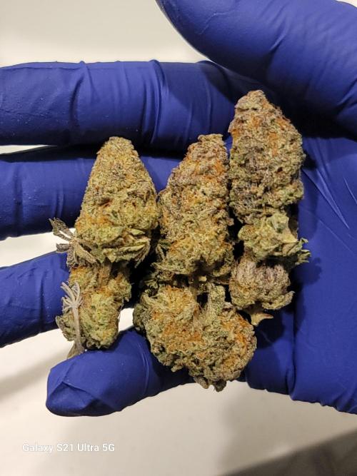 BlueberryCupcake,Donuts,GarlicBudder. Week 18