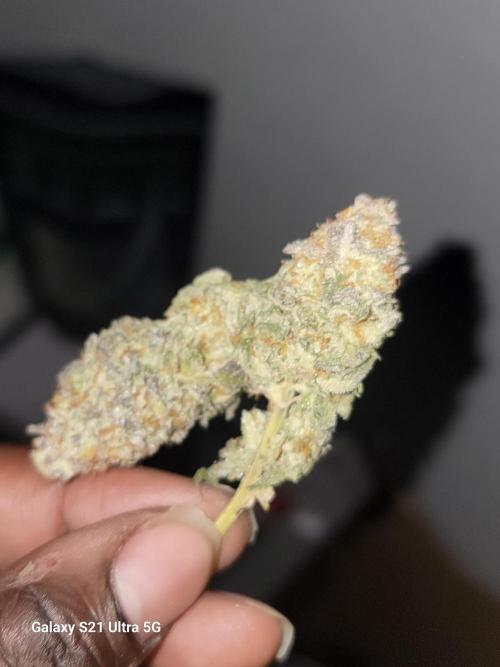 BlueberryCupcake,Donuts,GarlicBudder. Week 18