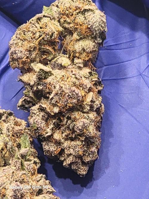 BlueberryCupcake,Donuts,GarlicBudder. Week 18