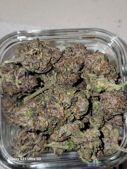 BlueberryCupcake,Donuts,GarlicBudder. Week 18