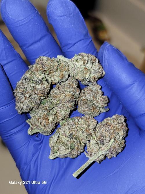 BlueberryCupcake,Donuts,GarlicBudder. Week 18