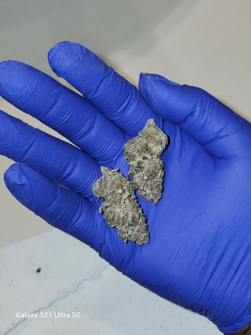 BlueberryCupcake,Donuts,GarlicBudder. Week 18
