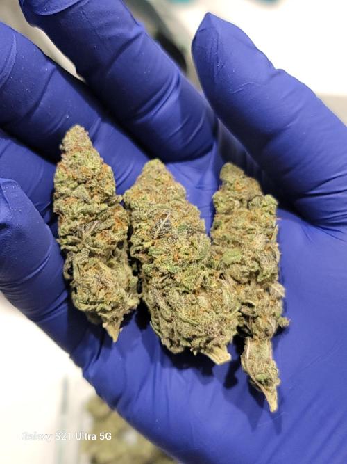 BlueberryCupcake,Donuts,GarlicBudder. Week 18