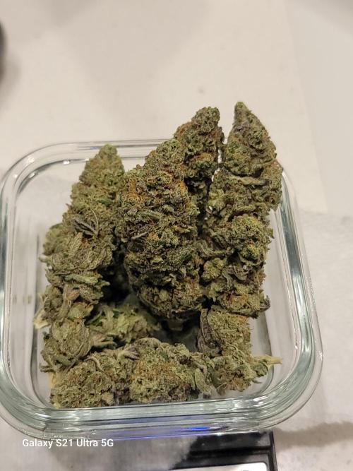 BlueberryCupcake,Donuts,GarlicBudder. Week 18