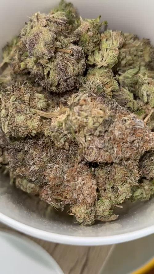 Blue Dream Growreport