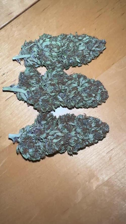 Durban Poison Growreport