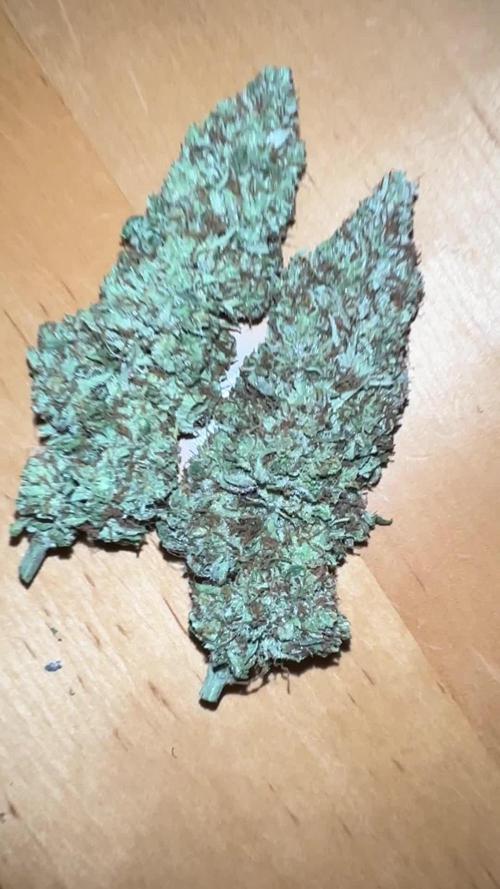 Durban Poison Growreport
