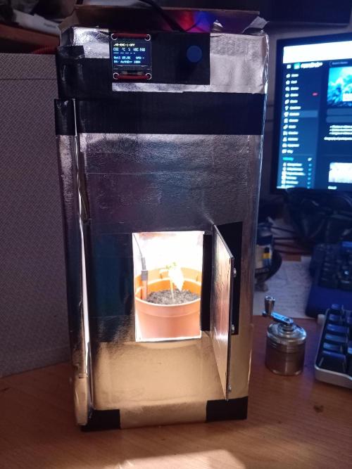 GG4 & Cherry Kush Coke Auto  Linda Seeds. Week 1