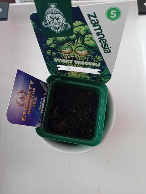 Sticky Broccoli . Week 0