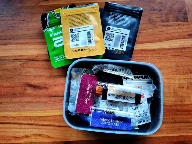 An Autumn with FastBuds. Week 0 - Funny little things