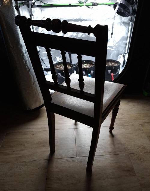 An Autumn with FastBuds. Week 0 - Take a seat, please.....