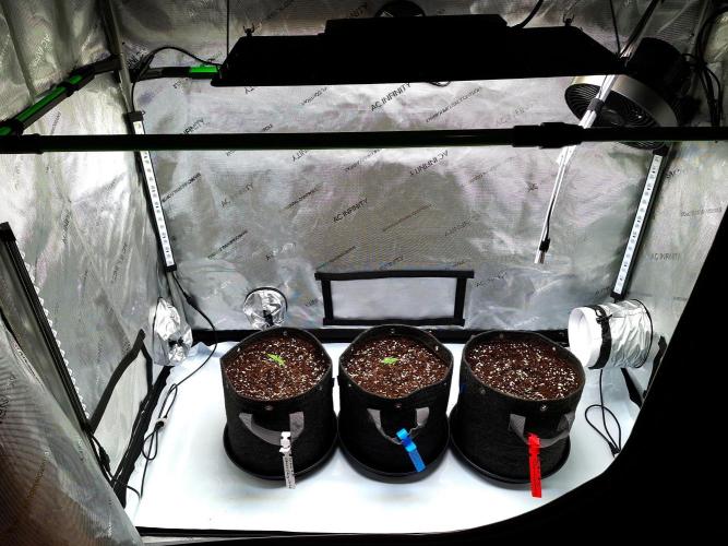 An Autumn with FastBuds. Week 0 - Family picture