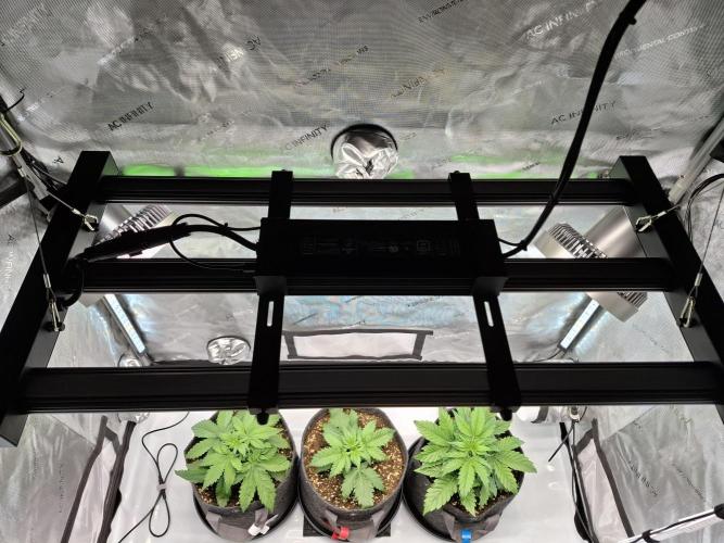 An Autumn with FastBuds. Week 3 - AC Infinity EVO3