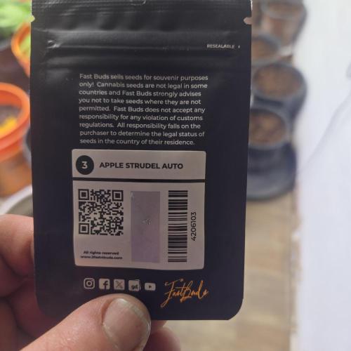 First  apple grow. Week 0