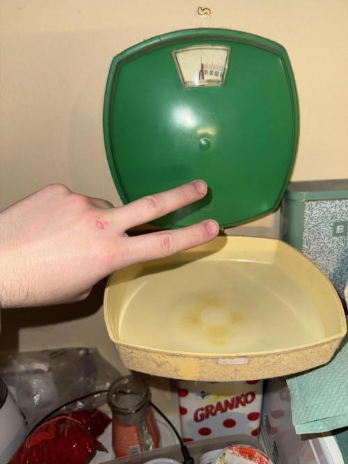 MilkyWay F1. Week 12