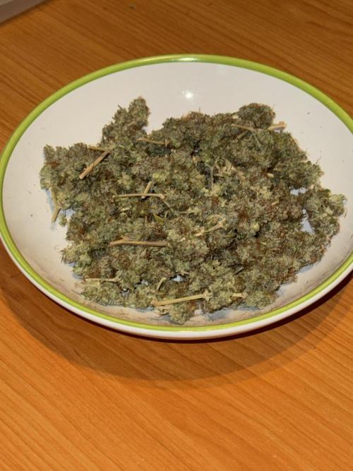 MilkyWay F1. Week 12