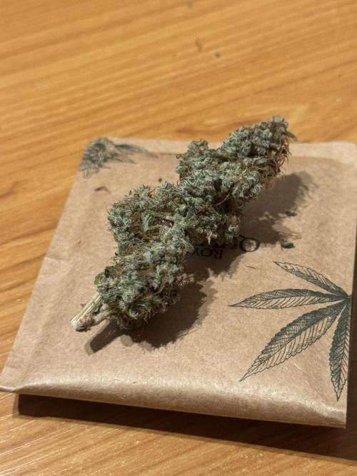 MilkyWay F1. Week 12