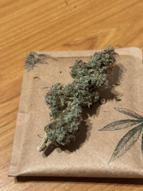 MilkyWay F1. Week 12