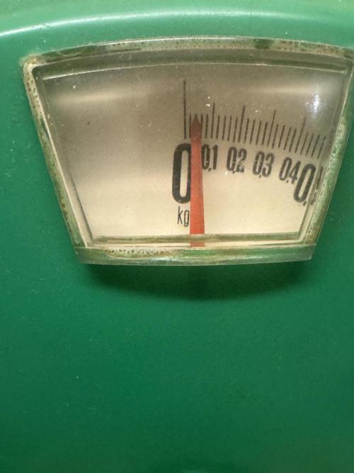 MilkyWay F1. Week 12