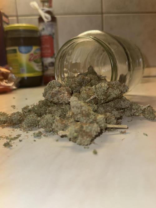 MilkyWay F1. Week 12